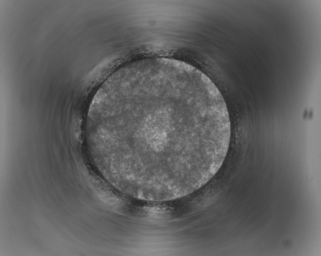 X0000110890693200907301543