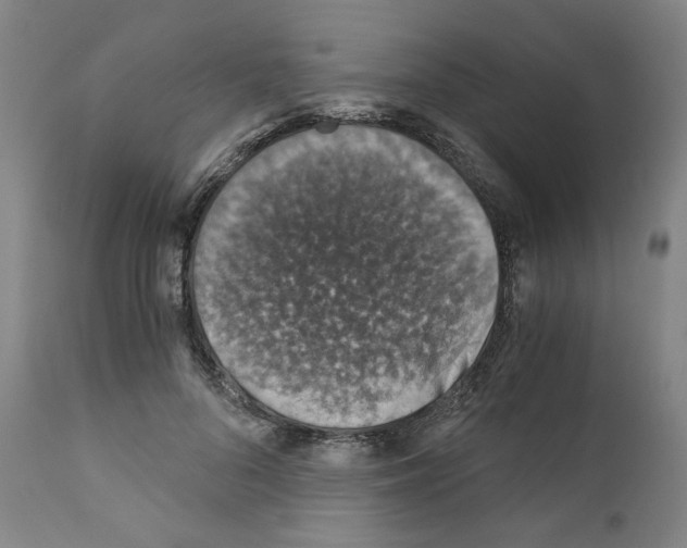 X0000110890696200907301542