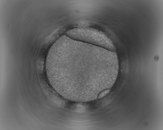 X0000110890697200907301542