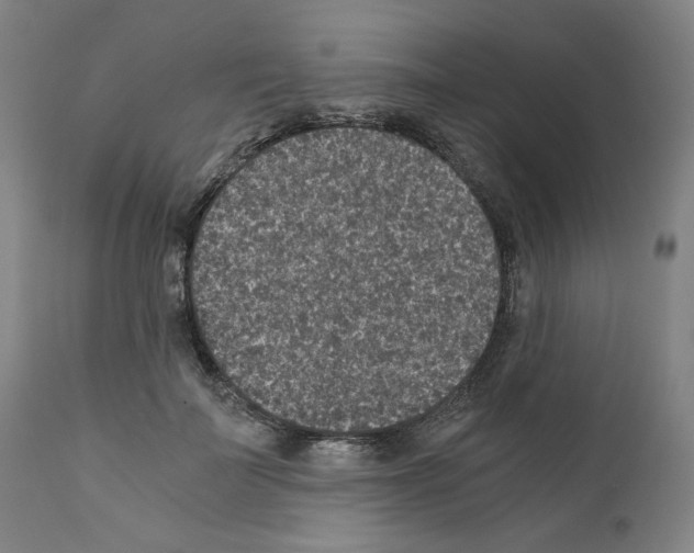 X0000110890699200907301542