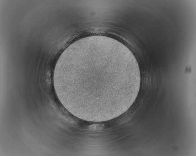 X0000110890700200907301542