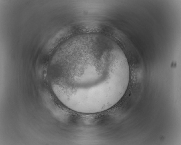 X0000110890701200907301542