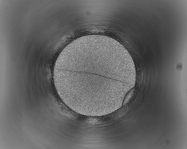 X0000110890704200907301542