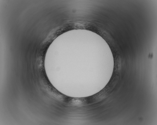 X0000110890706200907301542