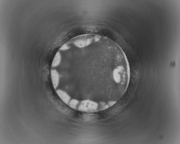 X0000110890707200907301542