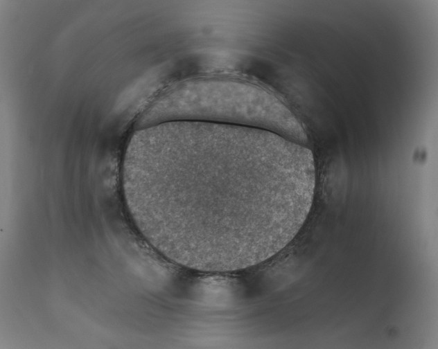 X0000110890708200907301542