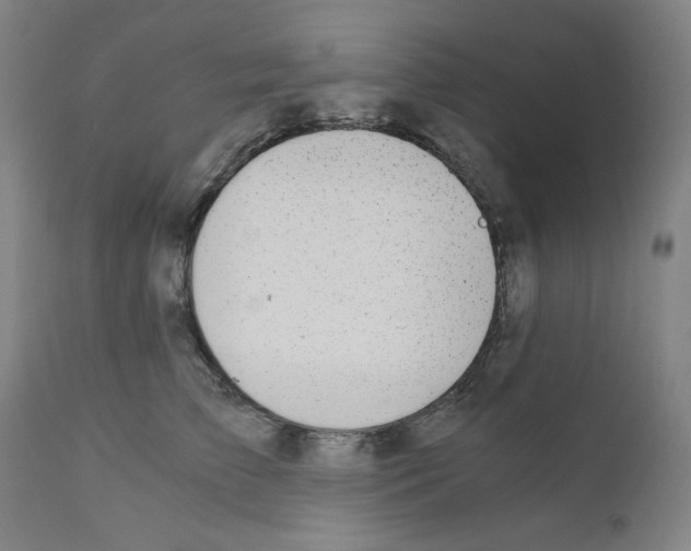 X0000110890709200907301542