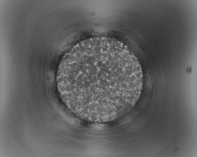 X0000110890711200907301542