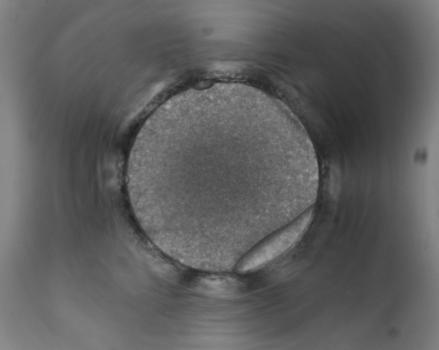 X0000110890712200907301542
