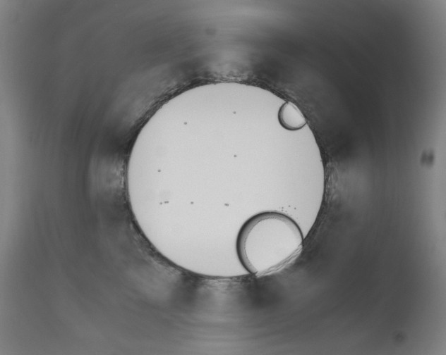 X0000110890713200907301542