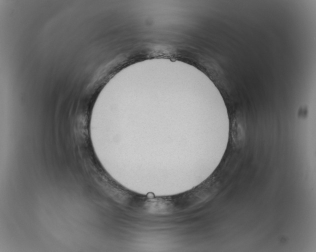X0000110890714200907301542