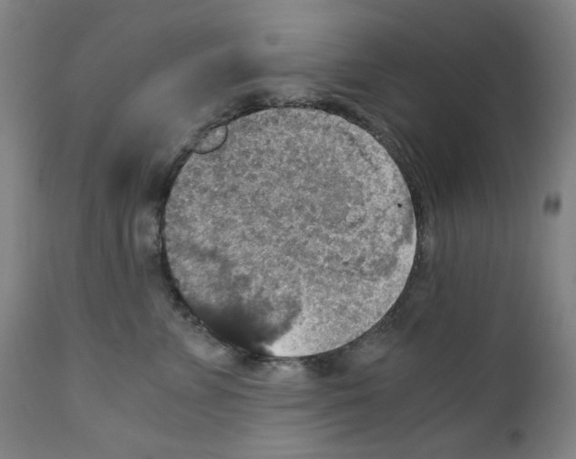 X0000110890715200907301542