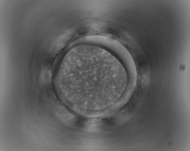X0000110890716200907301542