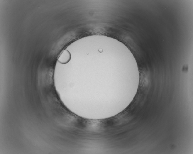 X0000110890717200907301542