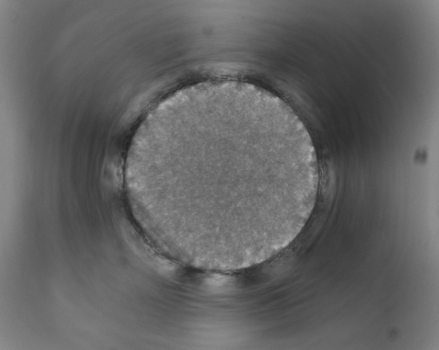 X0000110890718200907301542