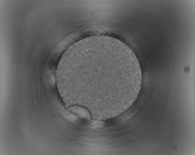 X0000110890719200907301542