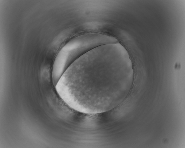 X0000110890720200907301542