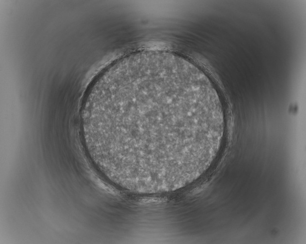 X0000110890721200907301541