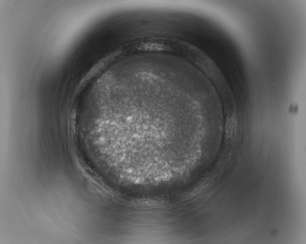 X0000110890722200907301541
