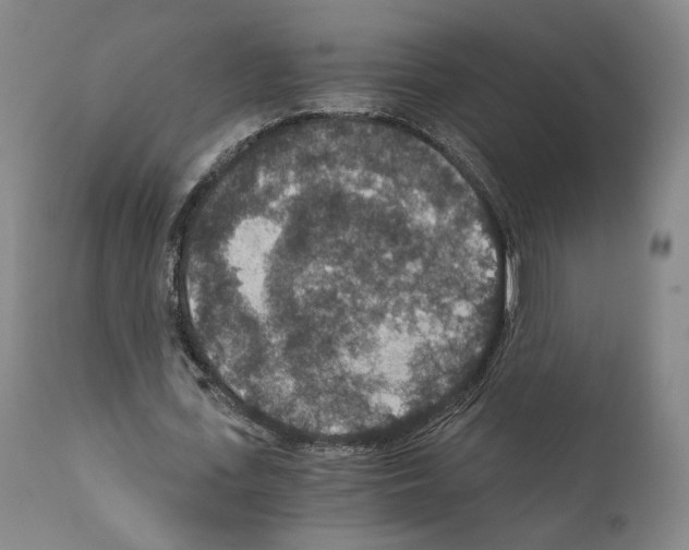X0000110890723200907301541