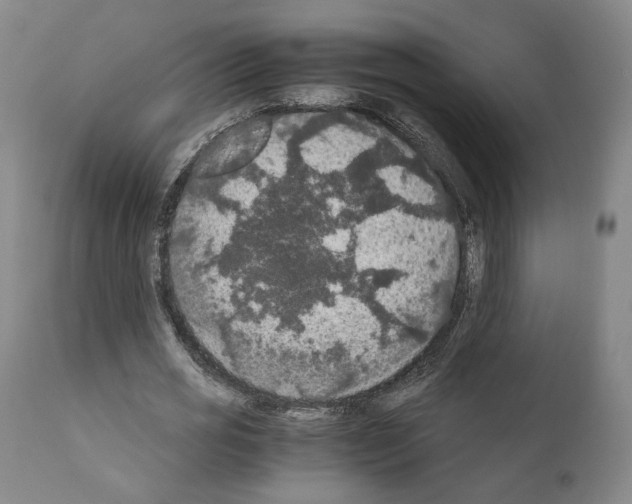 X0000110890725200907301541