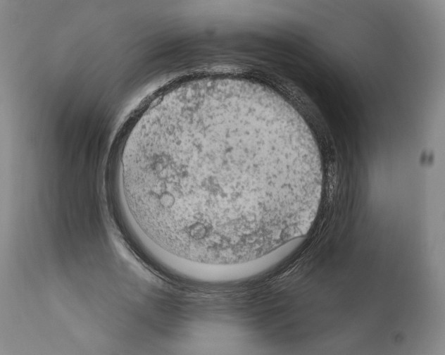 X0000110890726200907301541