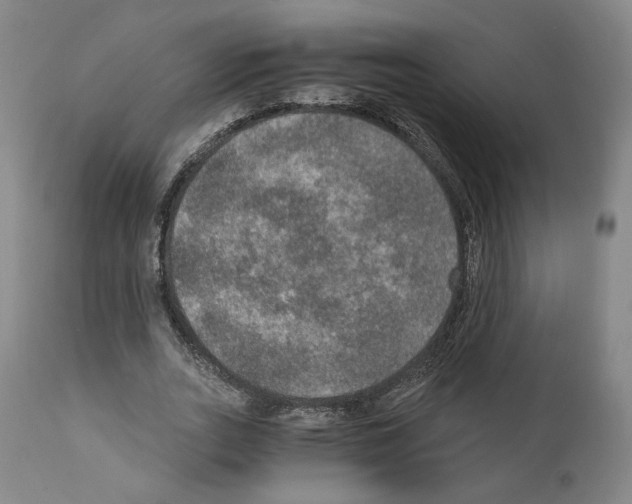 X0000110890727200907301541