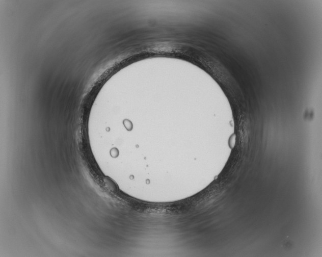 X0000110890728200907301541