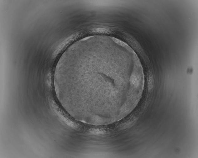 X0000110890729200907301541
