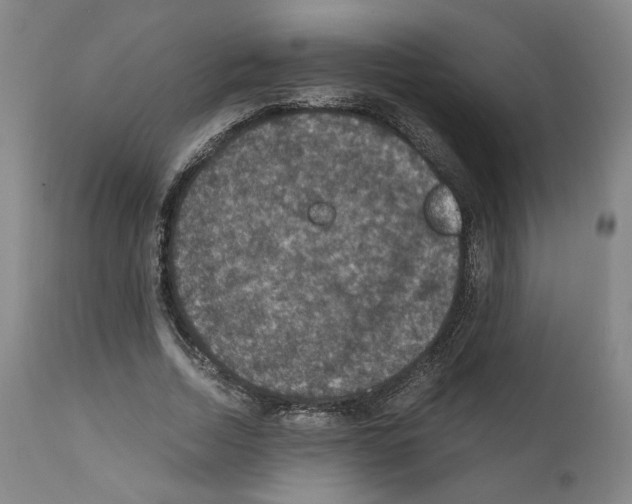 X0000110890730200907301541