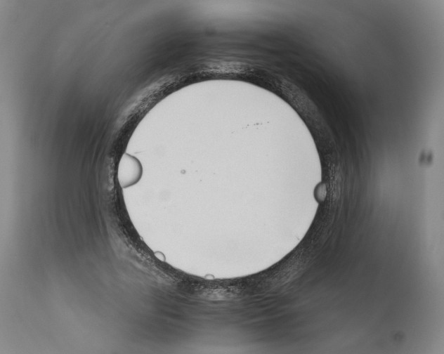 X0000110890731200907301541