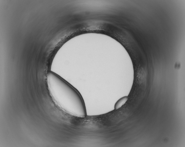 X0000110890732200907301541