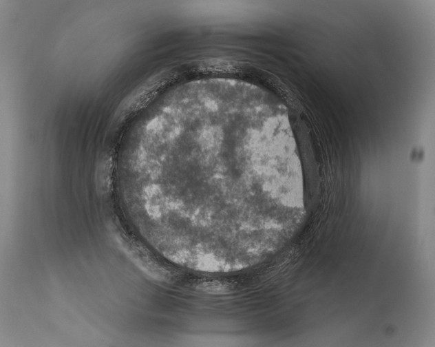 X0000110890735200907301542