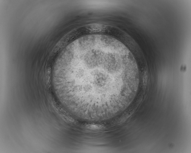 X0000110890737200907301542