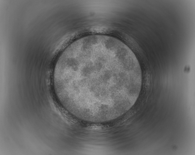 X0000110890738200907301542