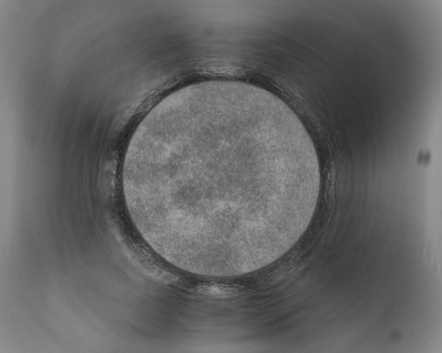 X0000110890739200907301542