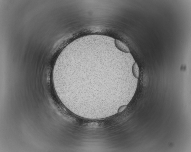 X0000110890740200907301542