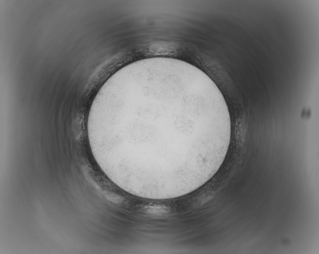 X0000110890741200907301542