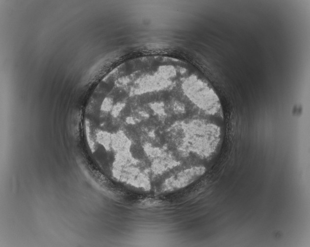 X0000110890742200907301542