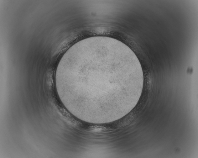 X0000110890746200907301542