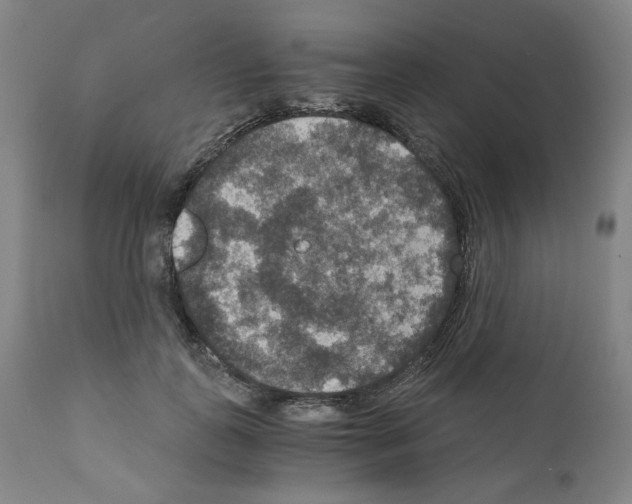 X0000110890747200907301542