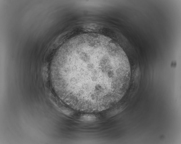 X0000110890749200907301542