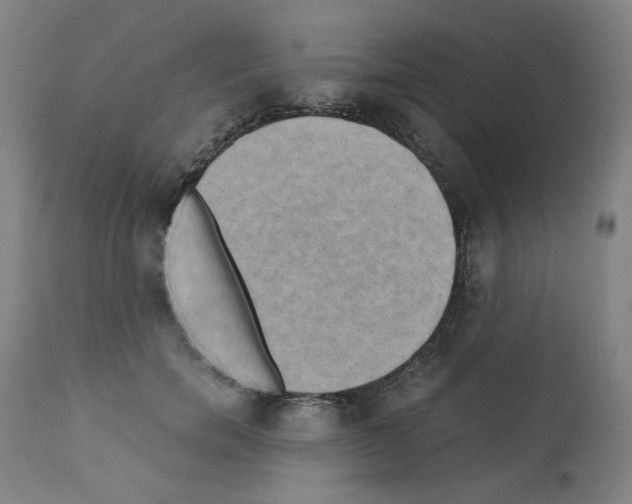 X0000110890750200907301542
