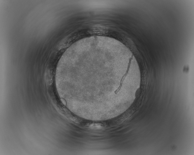 X0000110890751200907301542
