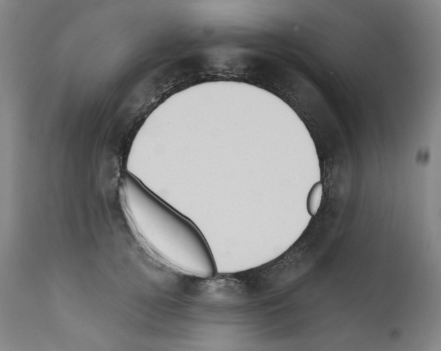 X0000110890752200907301542