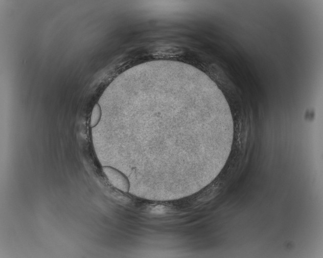 X0000110890755200907301542