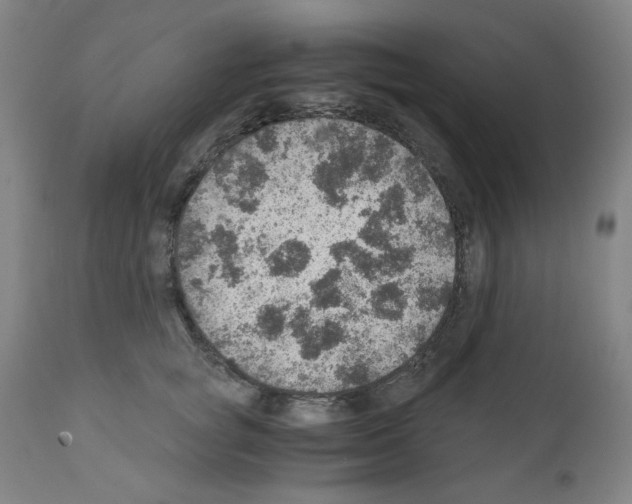 X0000110890757200907301542