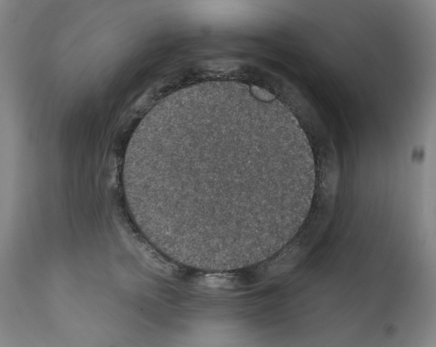 X0000110890758200907301542