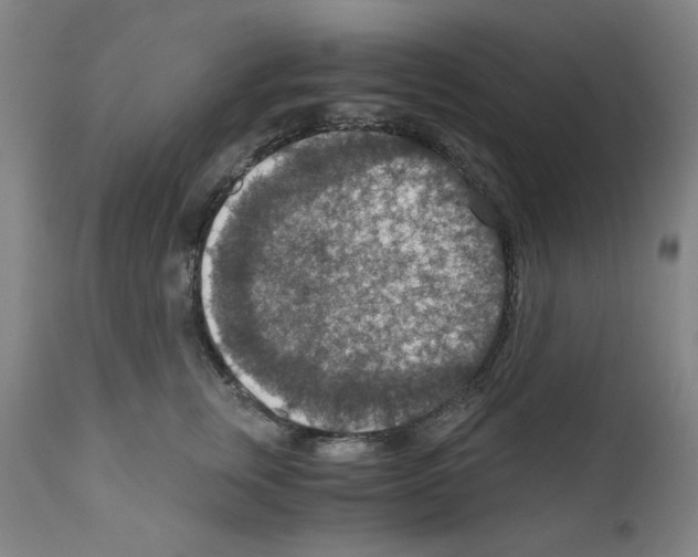 X0000110890759200907301542