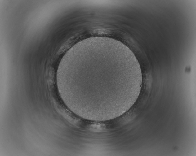 X0000110890760200907301542